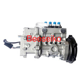 BQ/BH4Q75R8 HE87734-LD 4Q215-1 Fuel Injection Pump